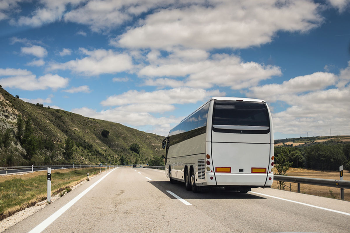 Compelling Reasons to Use a Charter Bus for Your Next Group Vacation